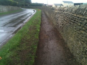 Bicester Road path cut back